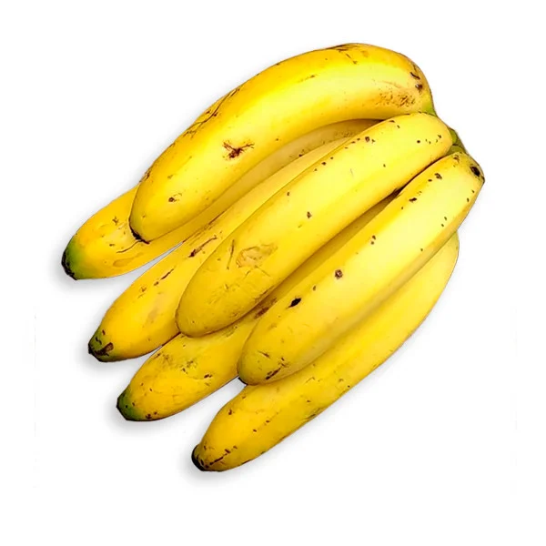 Banana Caturra