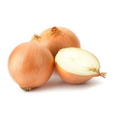 CEBOLA EXTRA KG