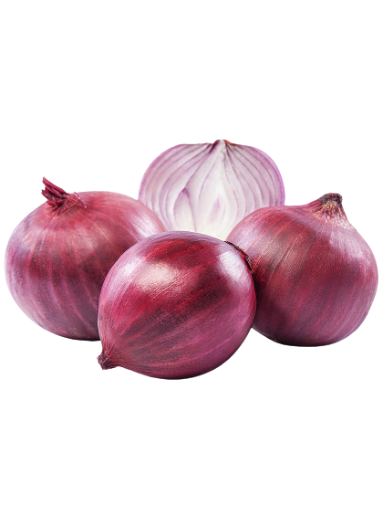 CEBOLA ROXA KG