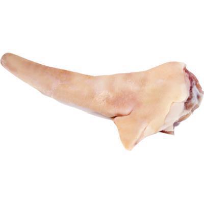 RABO SUÍNO KG