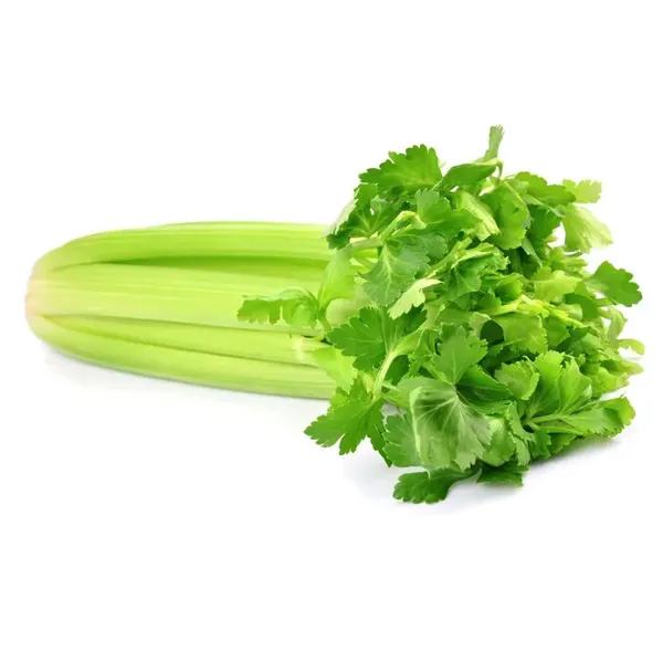 SALSÃO