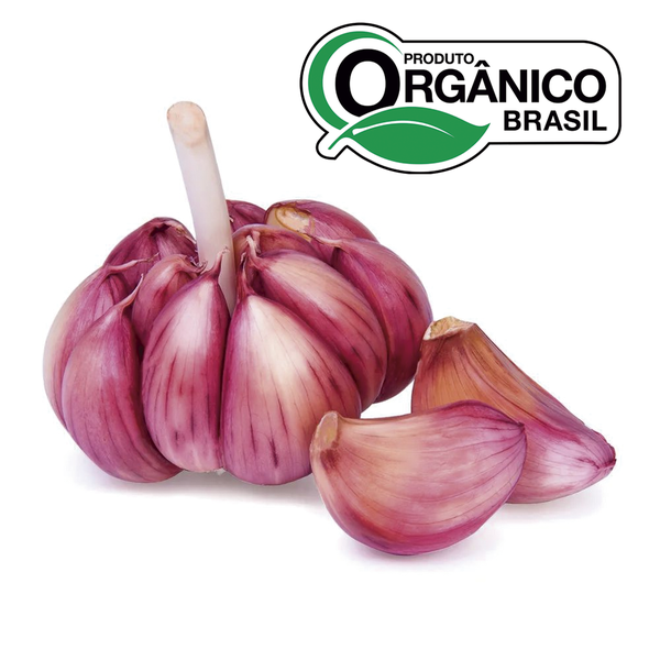 Alho Orgânico 100g OYAFUSO