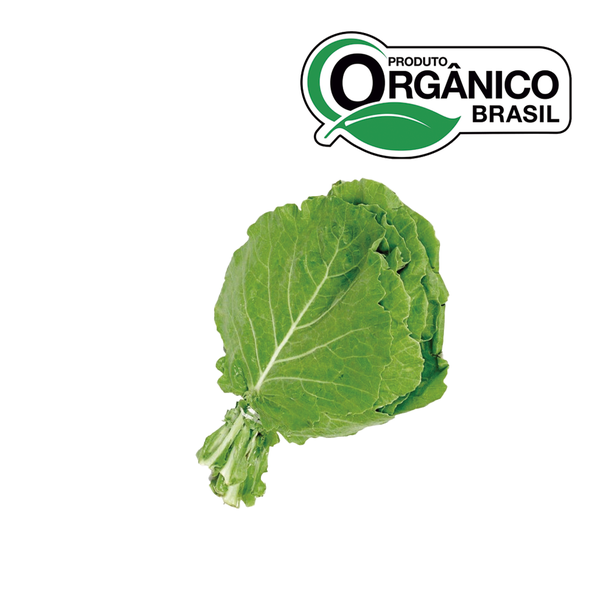 Couve Manteiga Orgânico Unidade OYAFUSO