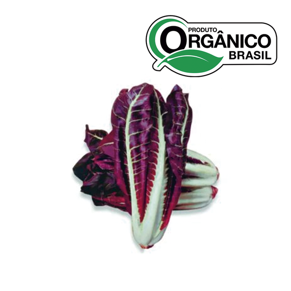 Radicchio Piemontese Orgânico BEE ORGANIC 350g