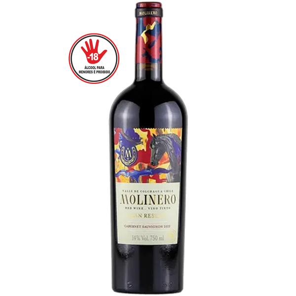 VINHO CHI VINA REQUINGUA G RES CARM 750ml