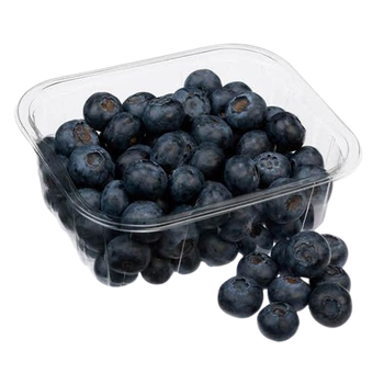 BLUEBERRY 125G