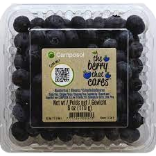 BLUEBERRY 125G CAMPOSOL