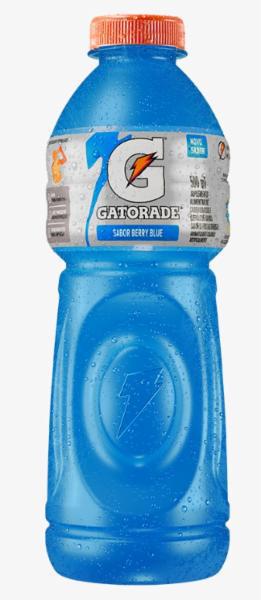 GATORADE 500ML BERRY BLUE