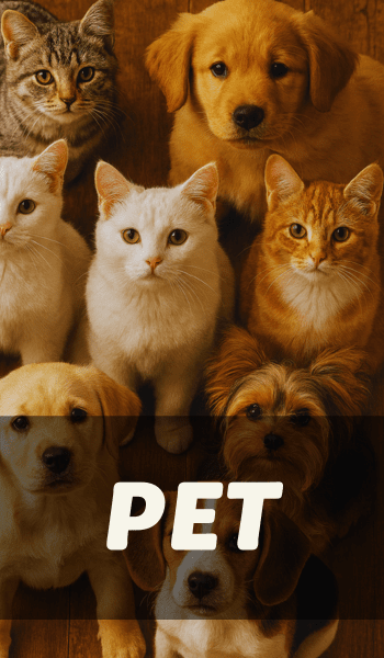 Pet