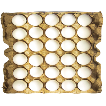 OVO BANDEJA BAMPI BRANCO COM 30