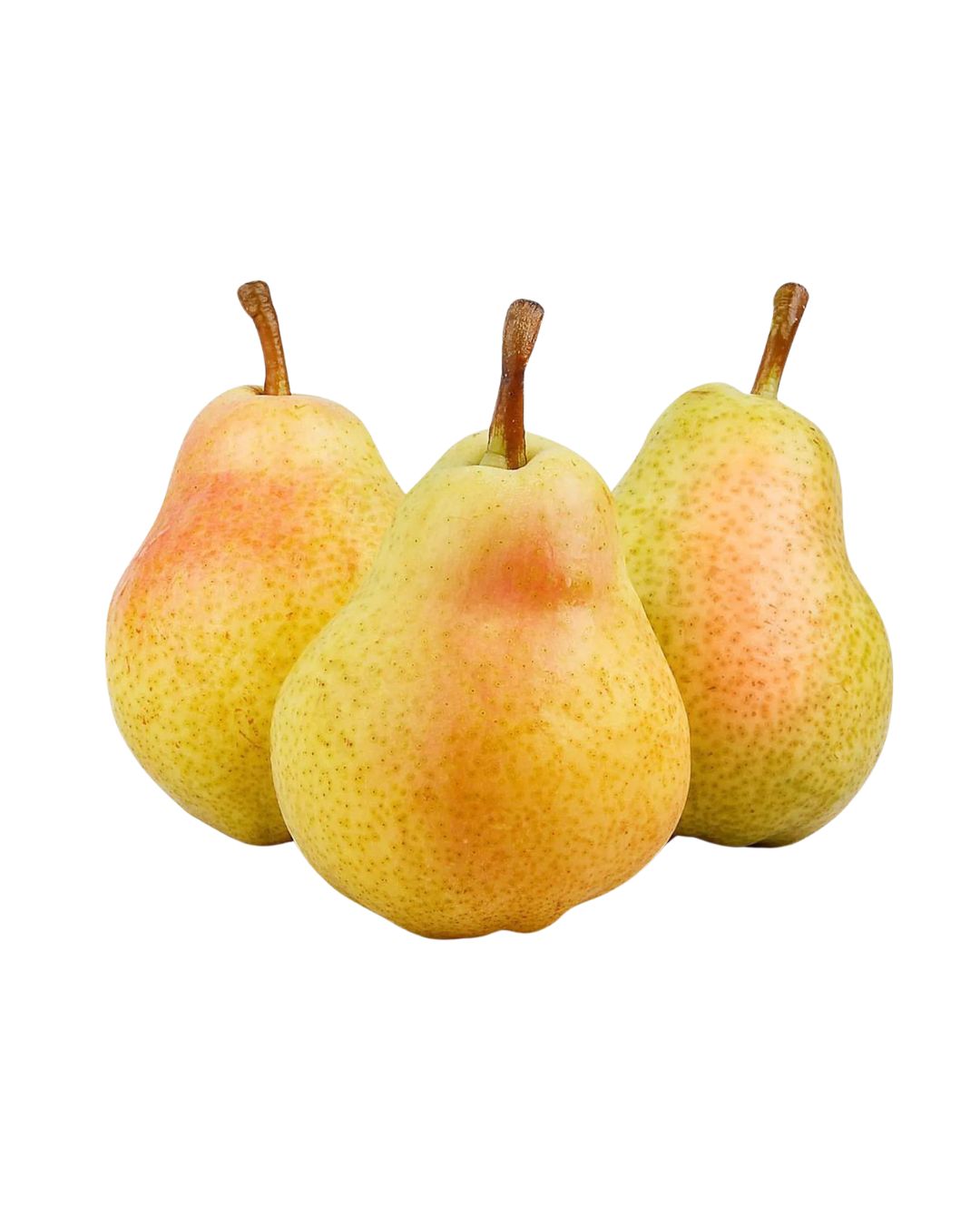 PERA KG