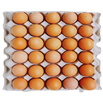 OVO BANDEJA BAMPI VERMELHO COM 30