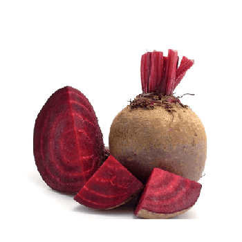 BETERRABA ZANOL 500G