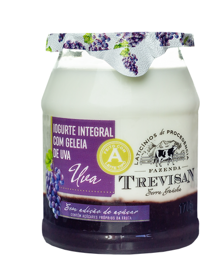 IOG TREVISAN INTEGRAL COM GELEIA DE UVA 170G