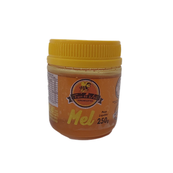 MEL FAVO DE MEL 250G