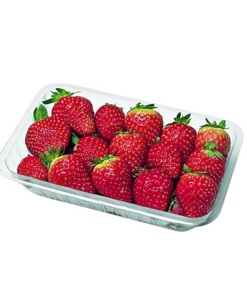 MORANGOS AGROFRUTI 250G