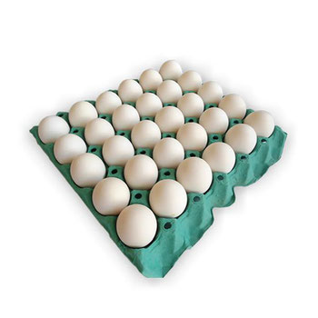 OVOS EXTRA BR NATUROVOS BDJ PLASTIFICADO C/30