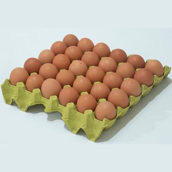 OVOS EXTRA VR NATUROVOS BDJ PLASTIFICADO C/30