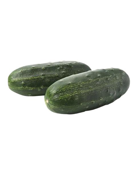 PEPINO KG