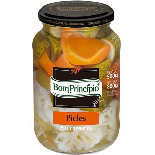 PICLES CONSERVA BOM PRINCIPIO 500G