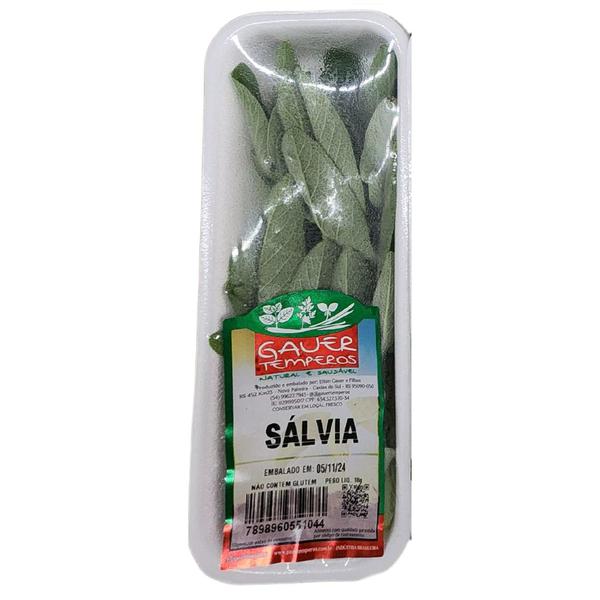 SALVIA GAUER 18G