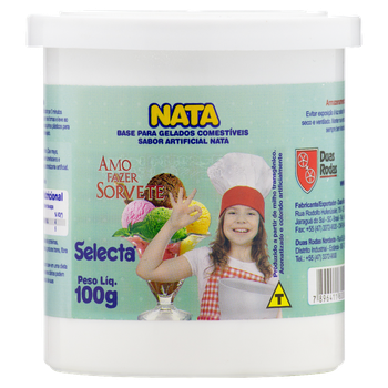 SORVETE SELECTA NATA 100G