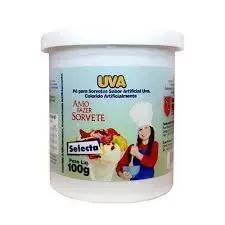 SORVETE SELECTA UVA 100G
