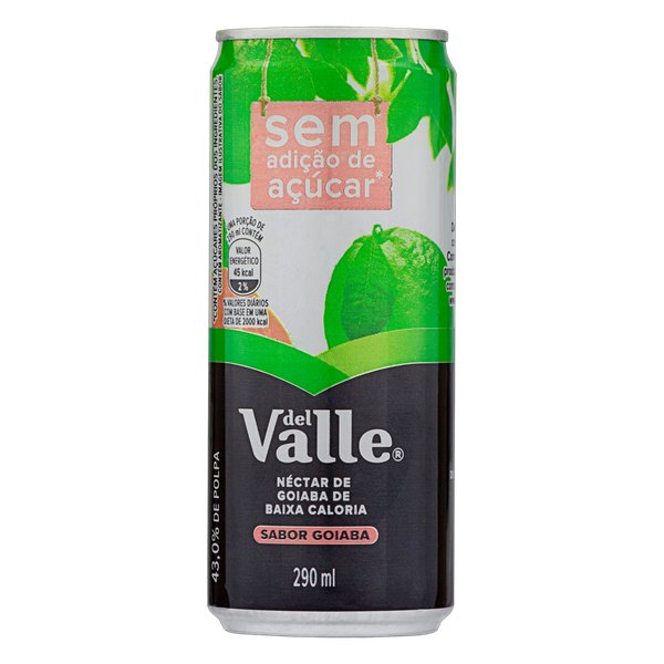 SUCO DEL VALLE GOIABA 290ML