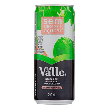 SUCO DEL VALLE GOIABA 290ML