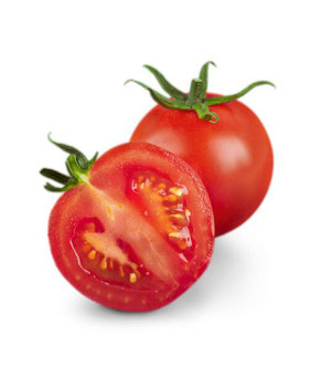 TOMATE LONGA VIDA KG