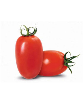 TOMATE SALADETI KG
