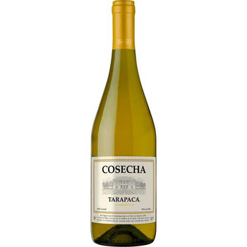 VINHO TARAPACA COSECHA CHARDONNAY 750ML