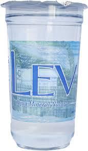 AGUA MINERAL LEV COPO 300ML