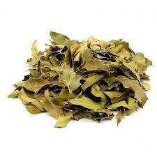 CHA ESPINHEIRA MAYTENUS KG