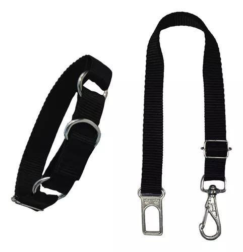 COLEIRA CLUB PET REGULAVEL REFLETIDA CAR