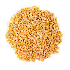 MILHO PIPOCA SERRANO 400G