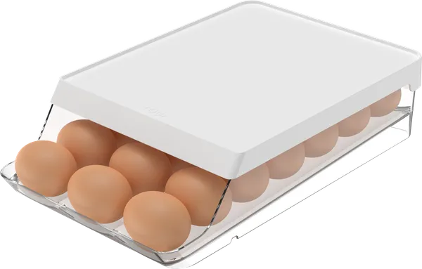 ORGANIZADOR OU OVOS ROLL CLEAR FRESH 21U