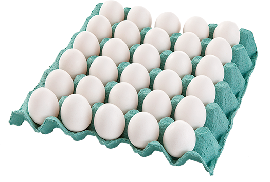 OVOS LACERDA BRANCO GRANDE C/30 UN