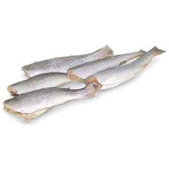 PEIXE PALOMBETA EVISC S/CABECA KG