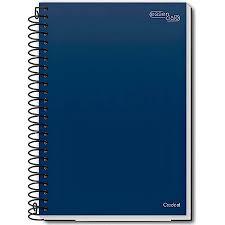 CADERNO CREDEAL ESSENCIALE CD 1/4 80F