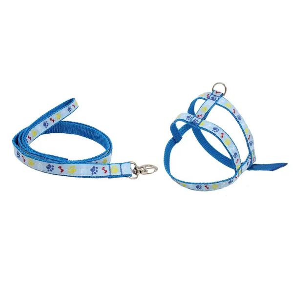 KIT PEITO E GUIA CLUB PET PATA OSSO N4