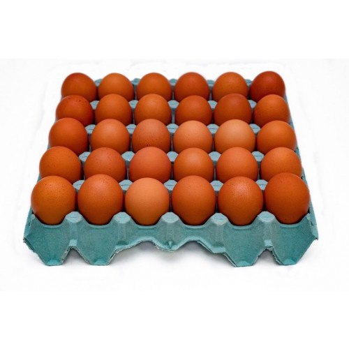 OVOS VERMELHO MEDIO PARA PRODUCAO