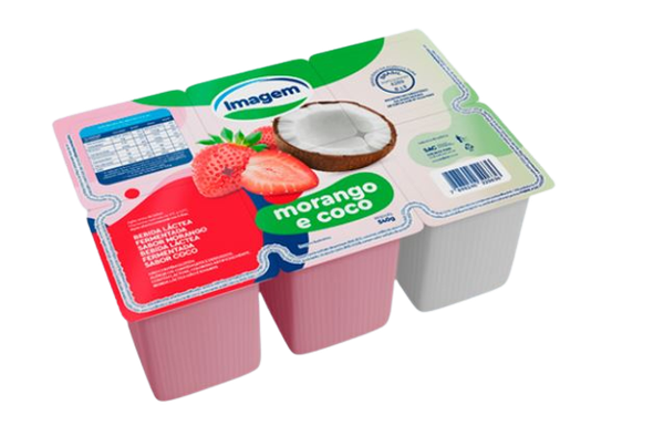 BEBIDA LACTEA REAL MORANGO/COCO 540G