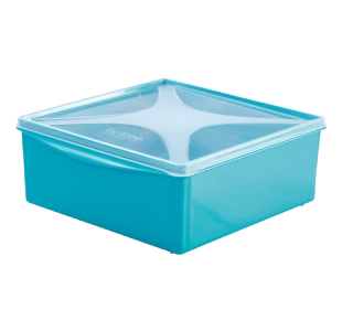 ORGANIZADOR TOP LINE MULTIUSO QUADRADO BAIXO COLOR 4,8LT REF.676-2