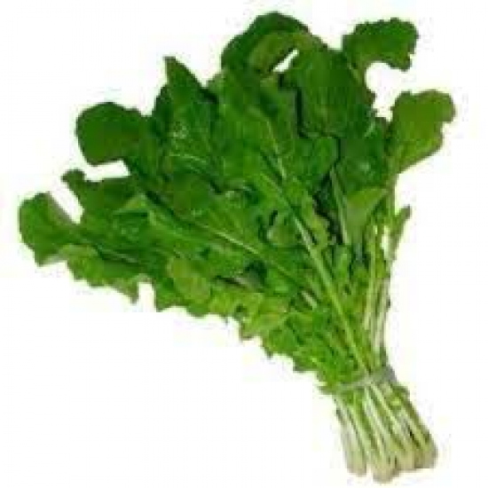 RUCULA HIDROPONICA GEVEHR UN