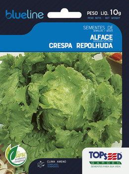 SEMENTE TOPSEED ALFACE CRESPA REPOLHUDA 10G