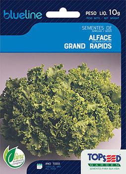 SEMENTE TOPSEED ALFACE GRAND RAPIDS 10G
