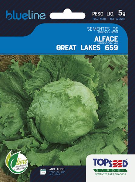 SEMENTE TOPSEED ALFACE GREAT LAKES 659 5G