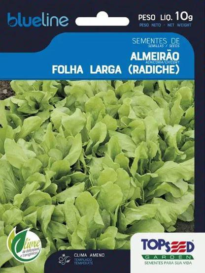 SEMENTE TOPSEED ALMEIRAO FOLHA LARGA 10G