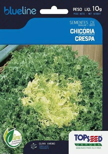 SEMENTE TOPSEED CHICORIA ESCAROLA 10G